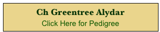 Ch Greentree Alydar
Click Here for Pedigree