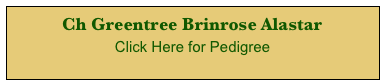 Ch Greentree Brinrose Alastar 
Click Here for Pedigree