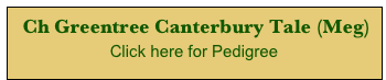  Ch Greentree Canterbury Tale (Meg)  
Click here for Pedigree