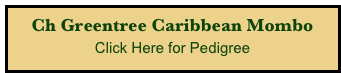 Ch Greentree Caribbean Mombo
Click Here for Pedigree