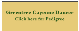 
Greentree Cayenne Dancer
Click here for Pedigree