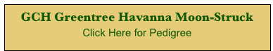 GCH Greentree Havanna Moon-Struck 
Click Here for Pedigree