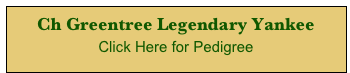 Ch Greentree Legendary Yankee 
Click Here for Pedigree