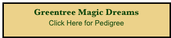 Greentree Magic Dreams
Click Here for Pedigree