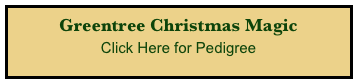 Greentree Christmas Magic
Click Here for Pedigree
