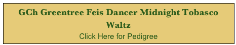 GCh Greentree Feis Dancer Midnight Tobasco Waltz
Click Here for Pedigree