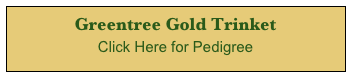 Greentree Gold Trinket        
Click Here for Pedigree