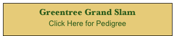 Greentree Grand Slam       
Click Here for Pedigree